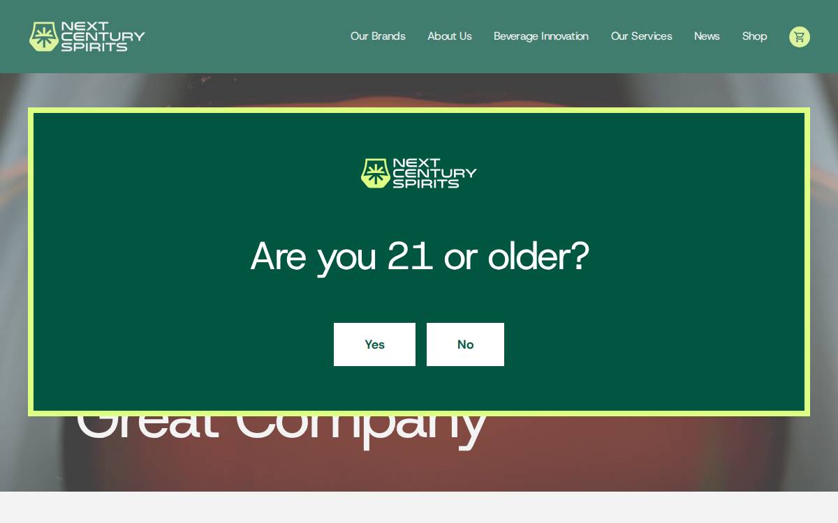 Next Century Spirits website preview