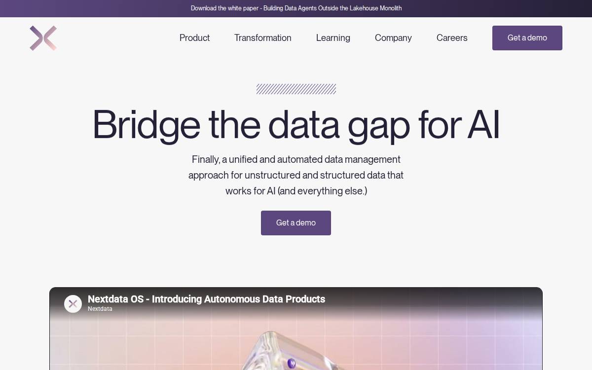 Nextdata website preview