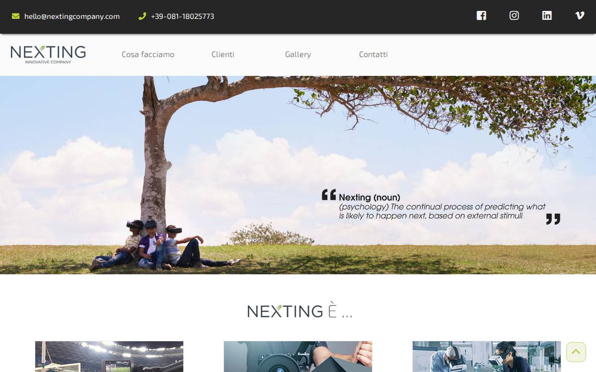 Nextingcompany website preview