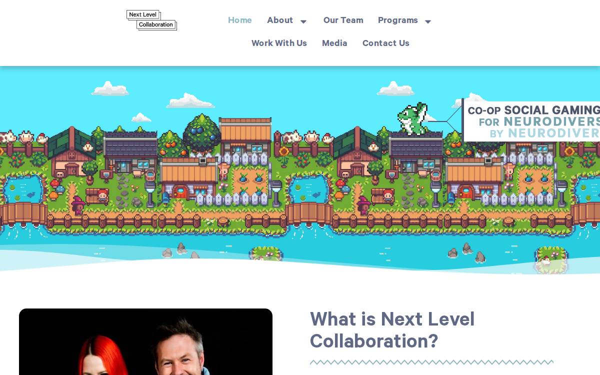 Nextlevelcollaboration website preview