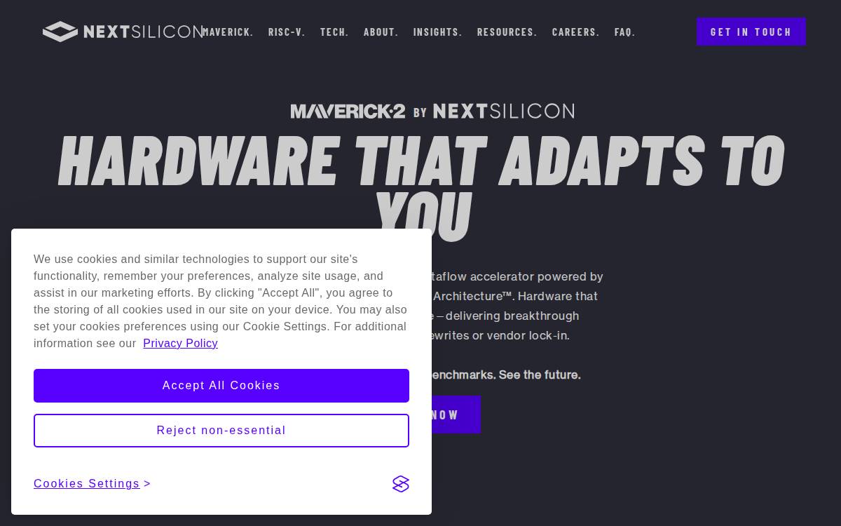 NextSil website preview
