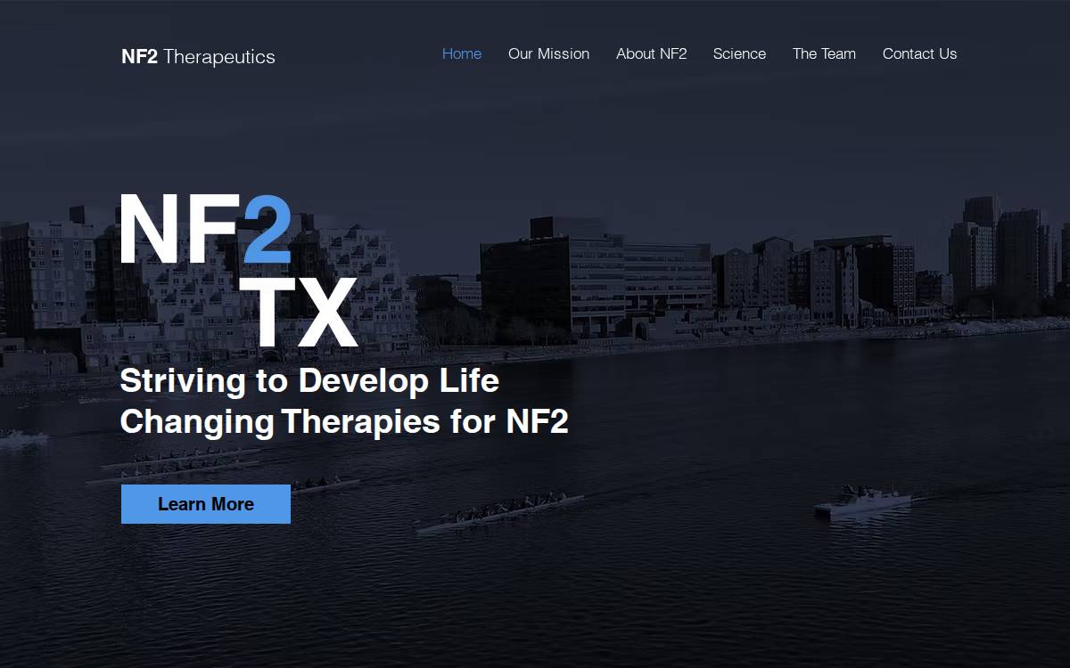 Nf2Tx website preview