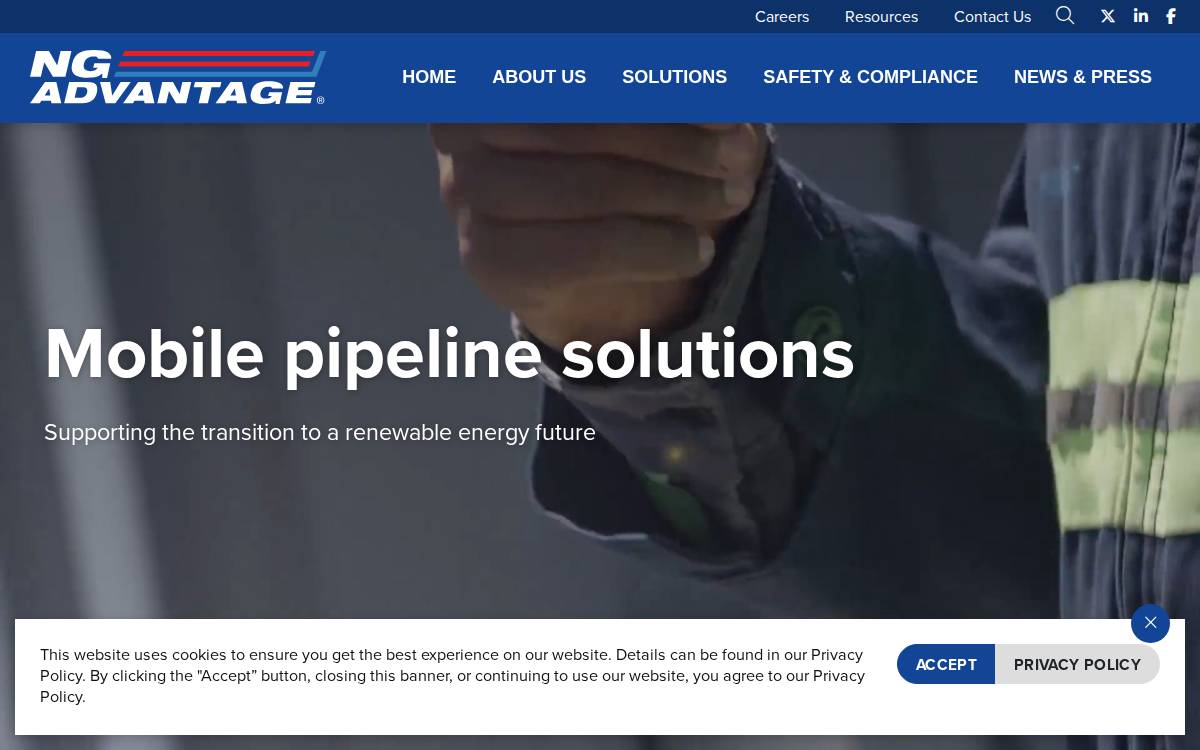 NG Advantage website preview