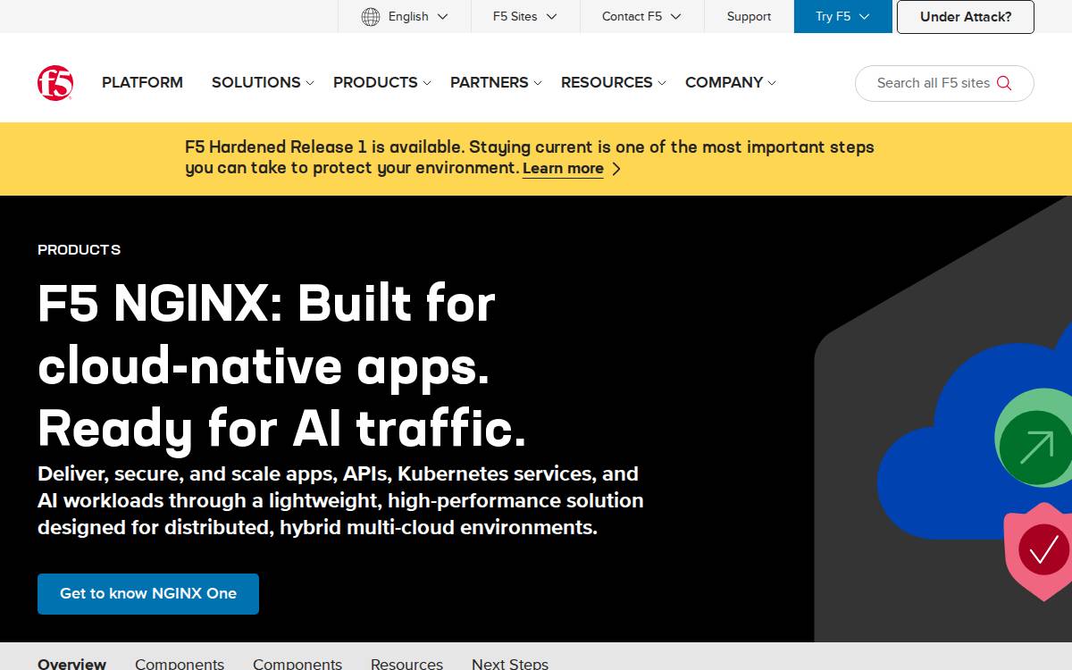 Nginx website preview