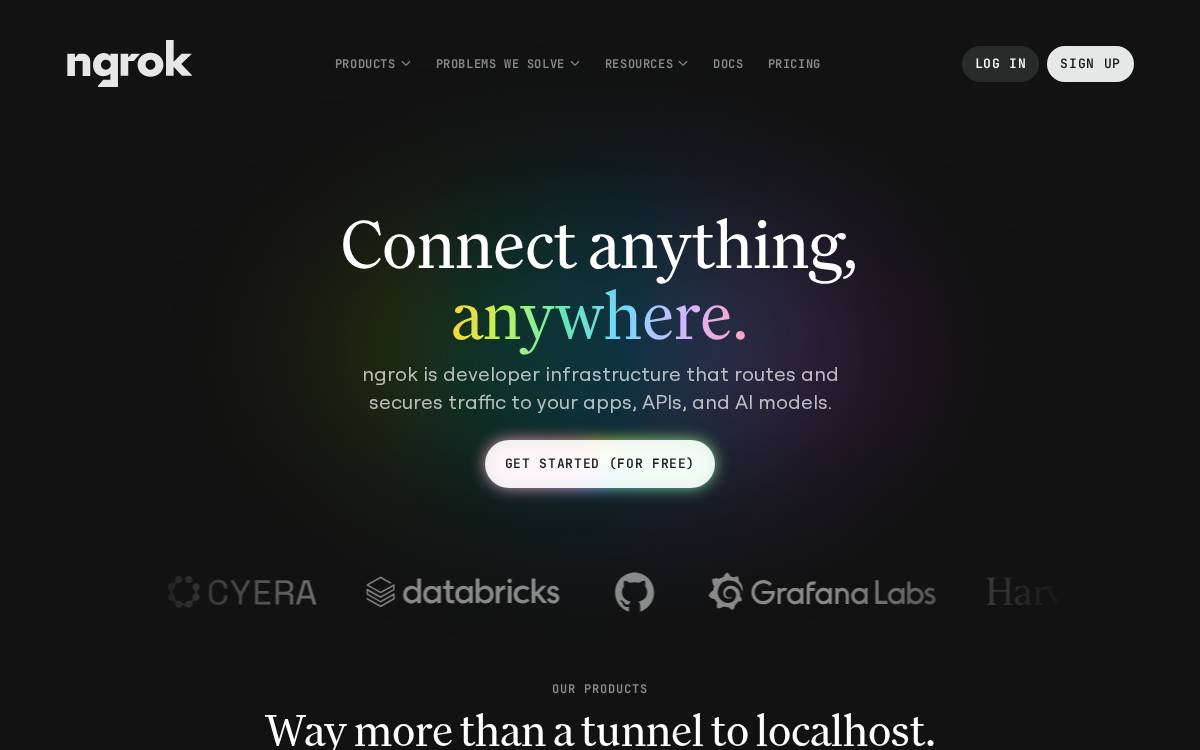 Ngrok website preview