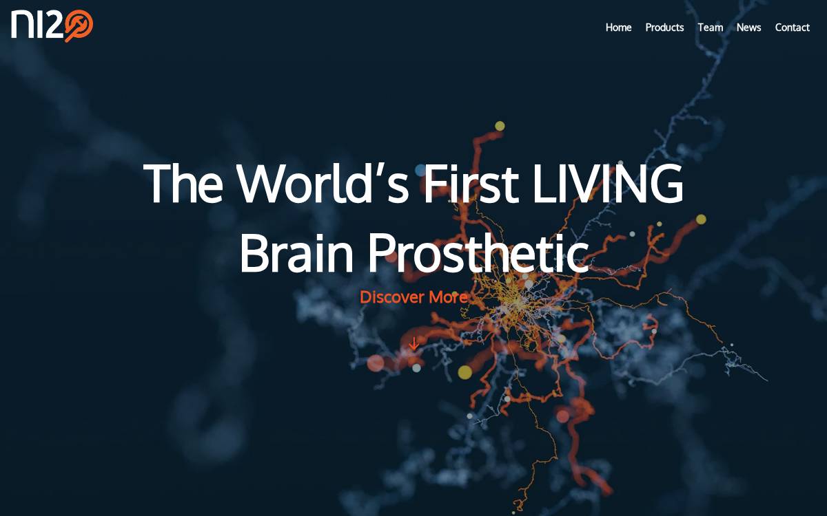 Ni2o website preview