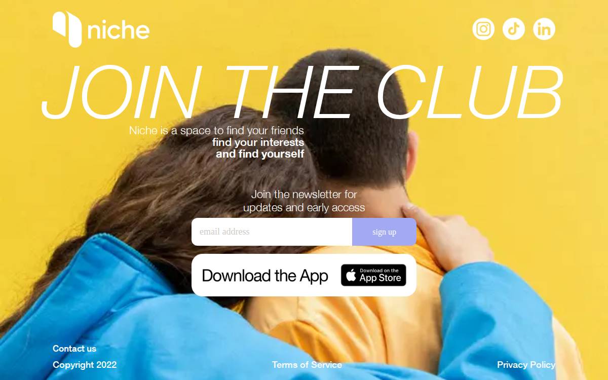 Niche website preview