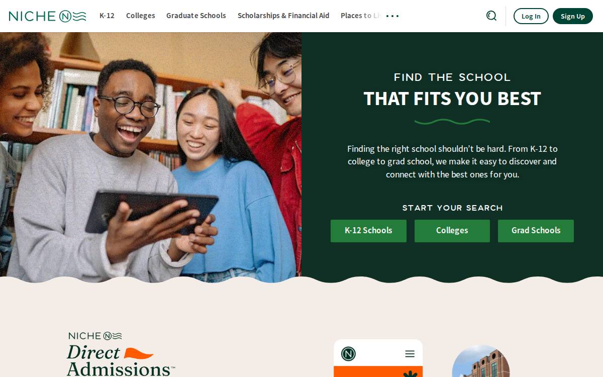 Niche website preview