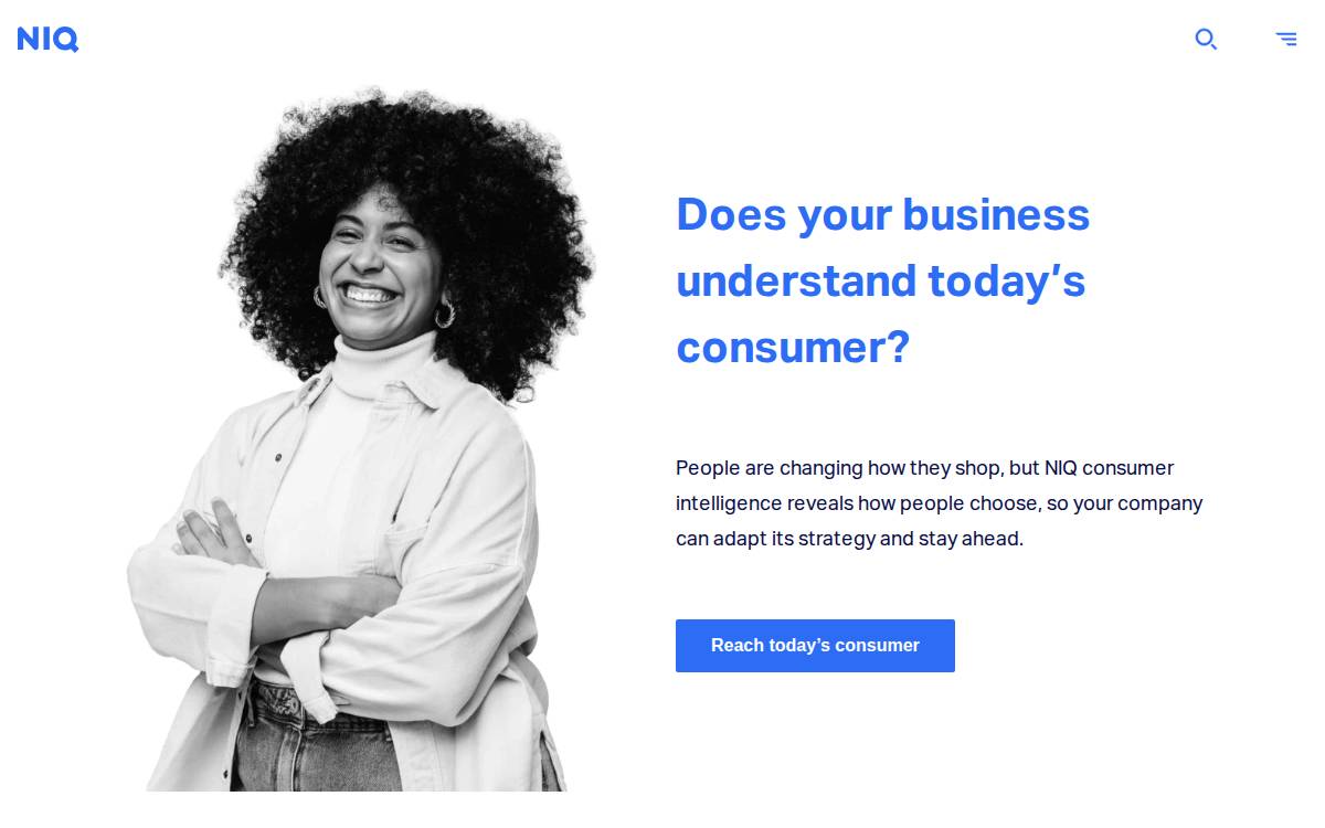 Nielseniq website preview