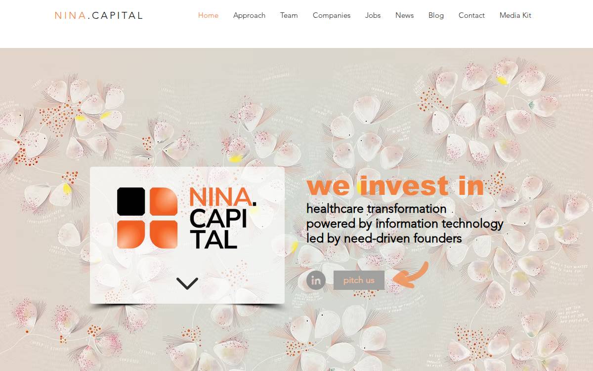 Nina Capital website preview