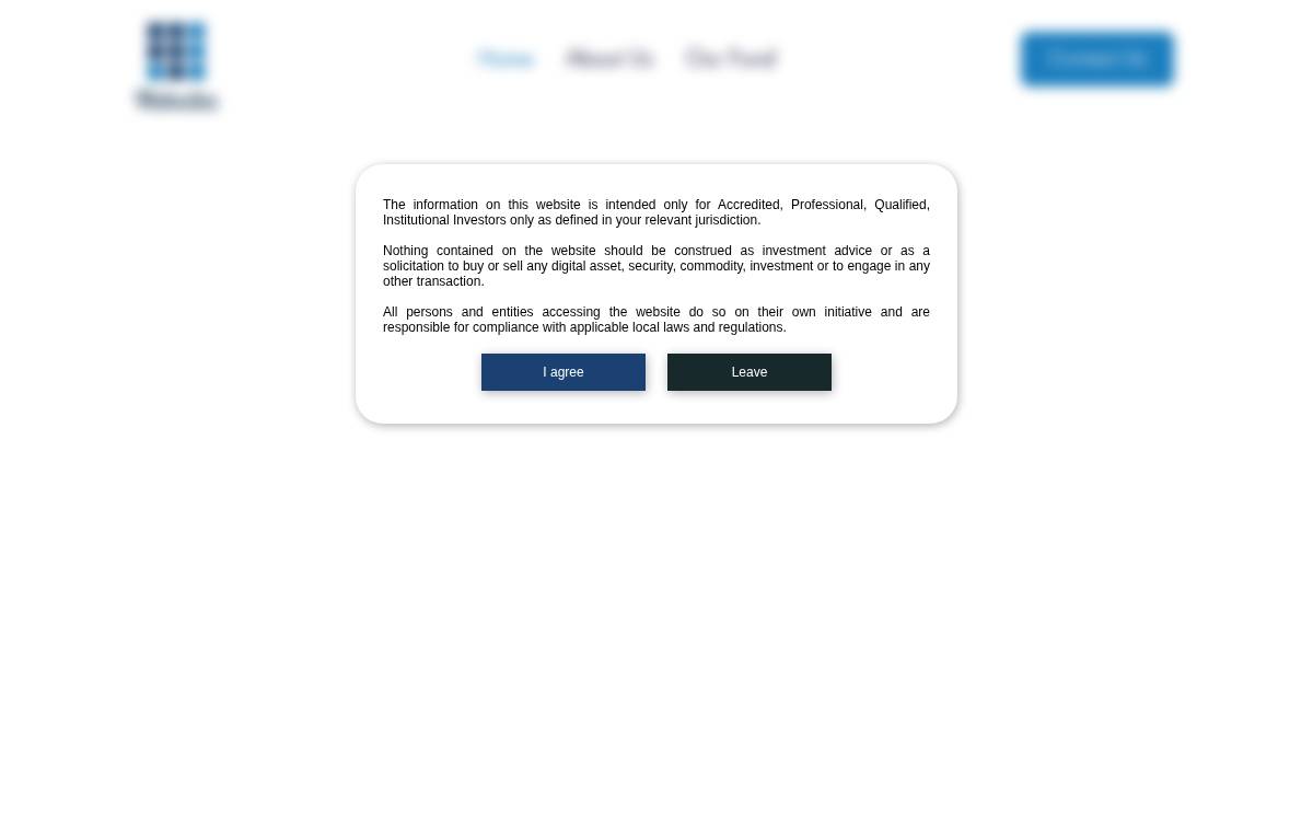 Nine Blocks Capital website preview