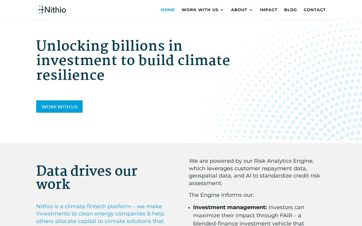 Nithio website preview