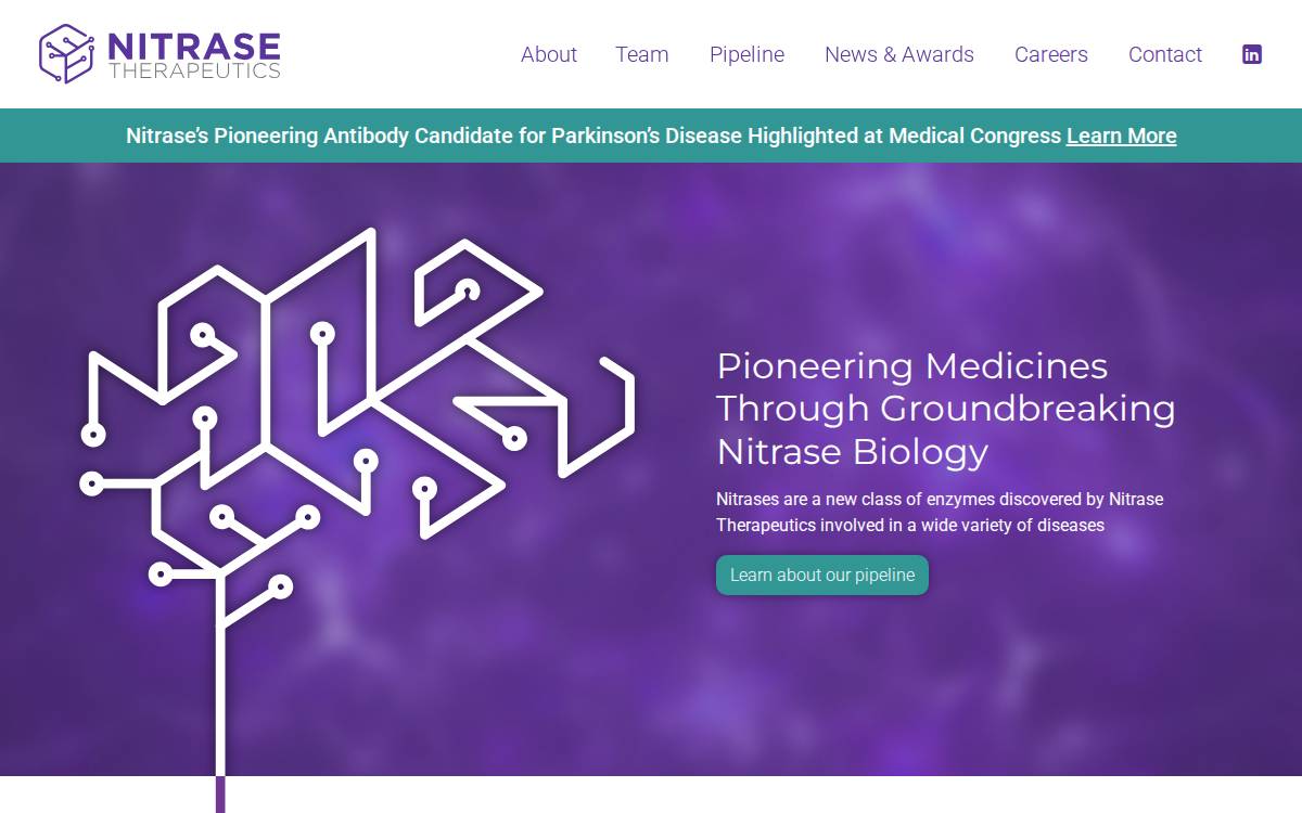 Nitrase Therapeutics website preview