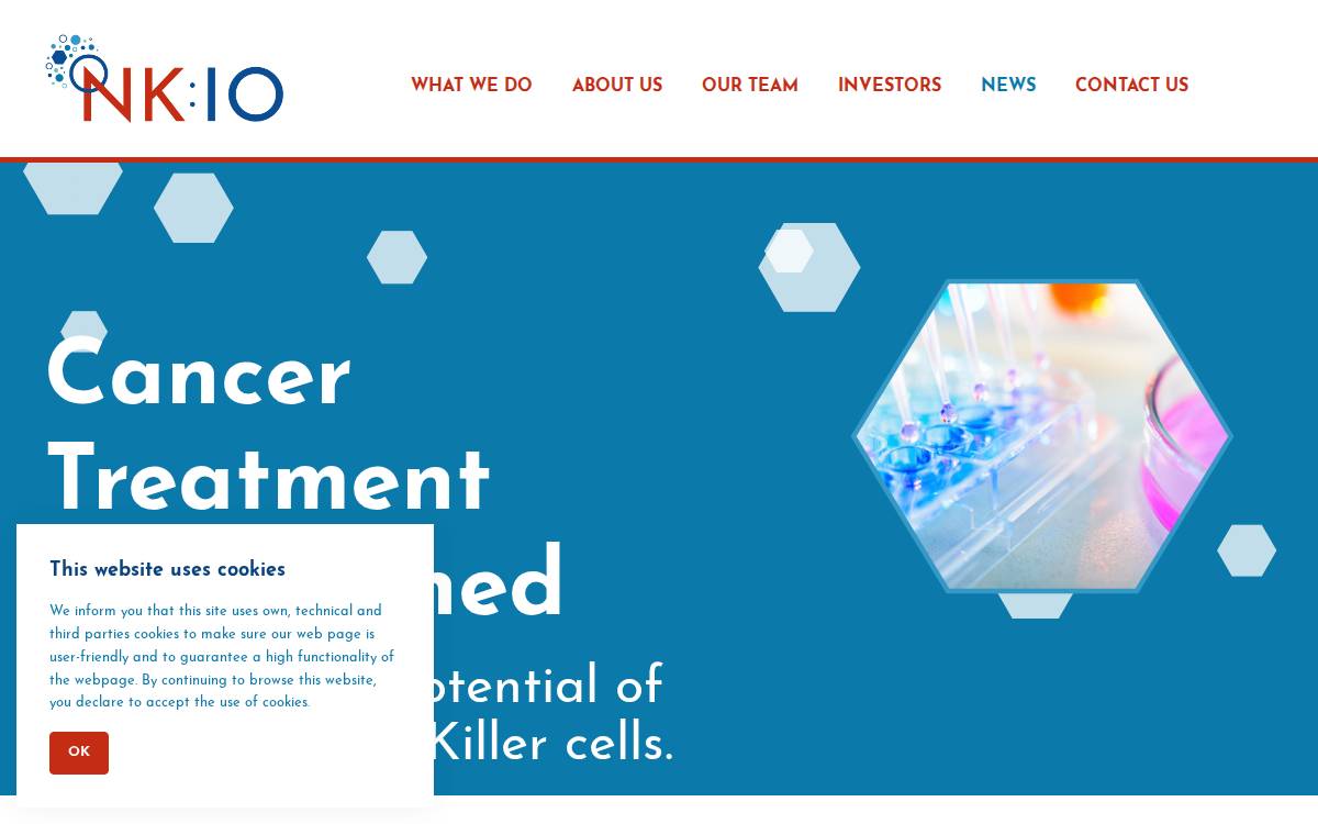 NKIO Seed website preview