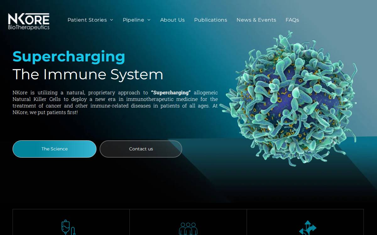 NKore Biotherapeutics website preview