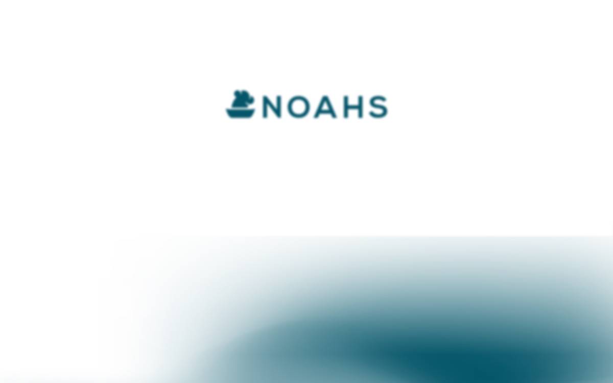 Noahs website preview