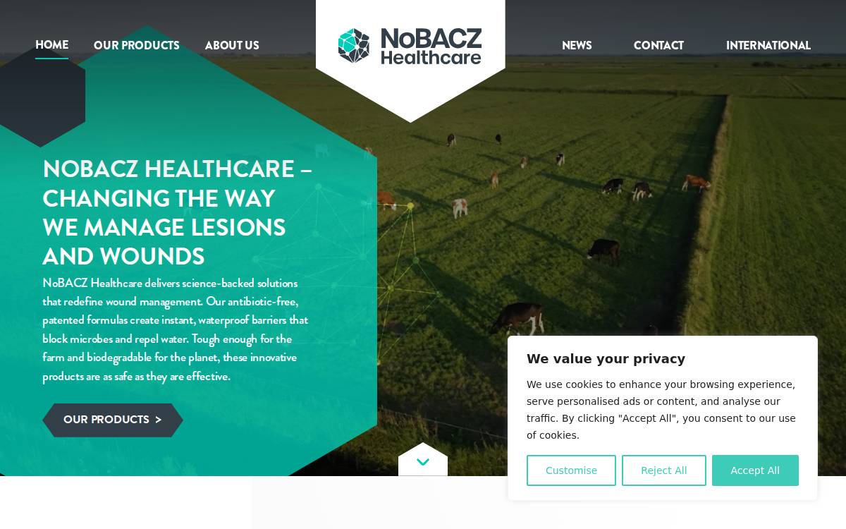 NoBACZ - company website preview