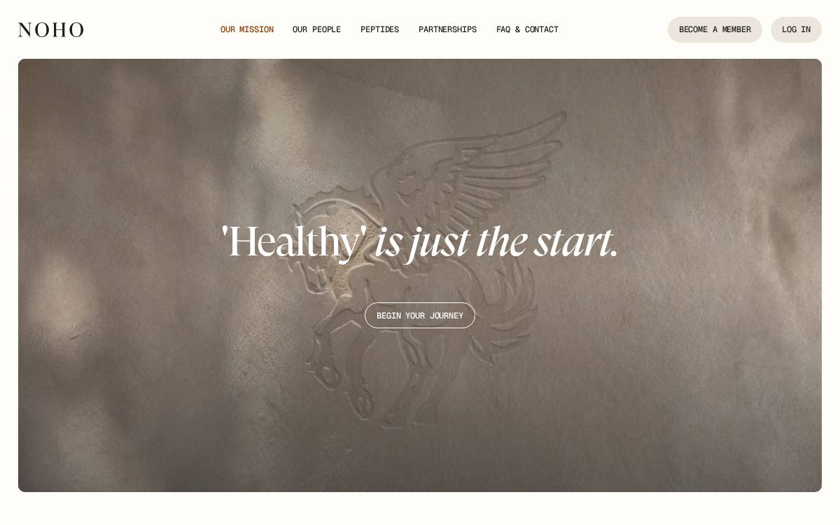 Noholabs website preview