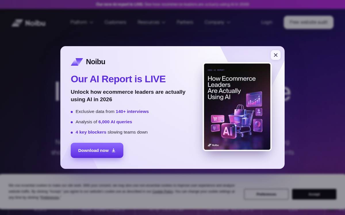 Noibu website preview