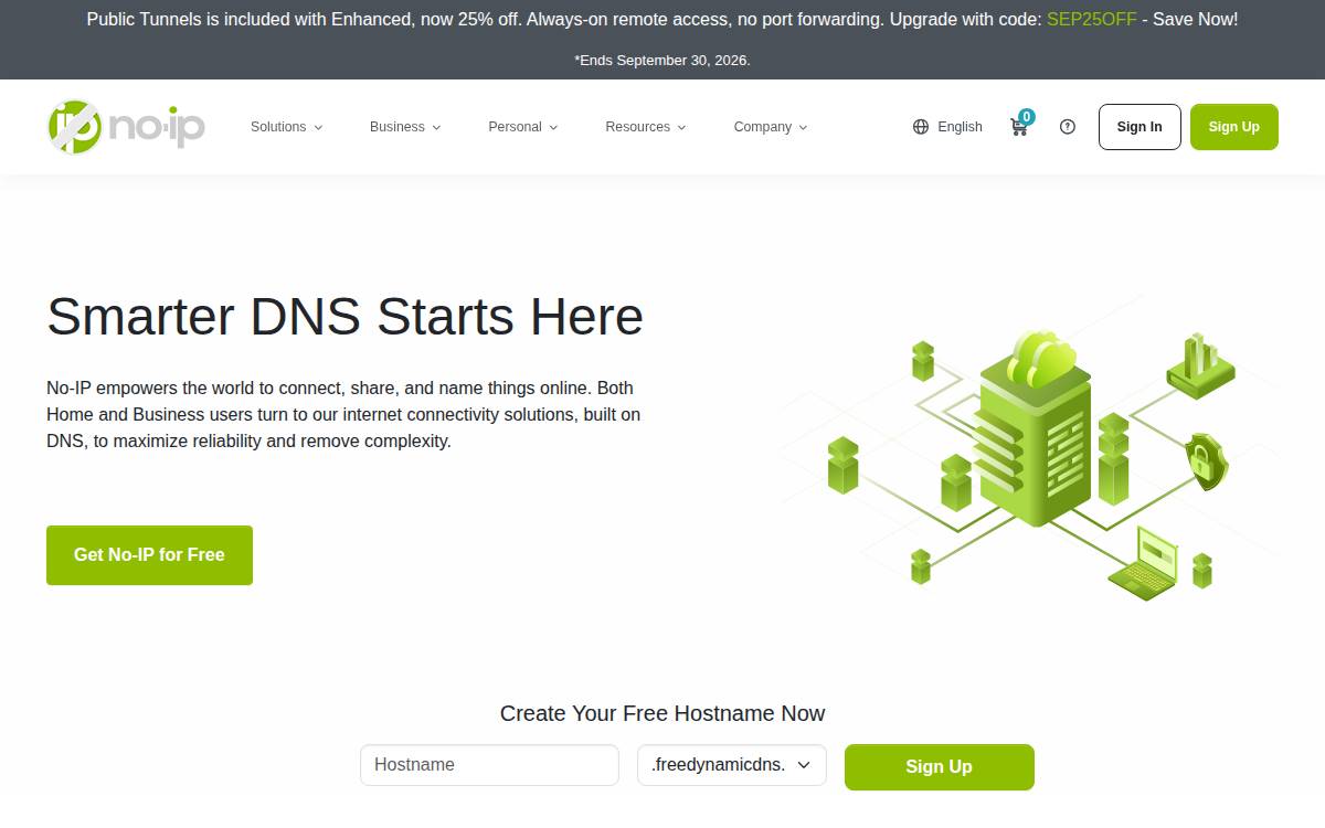 No-IP website preview