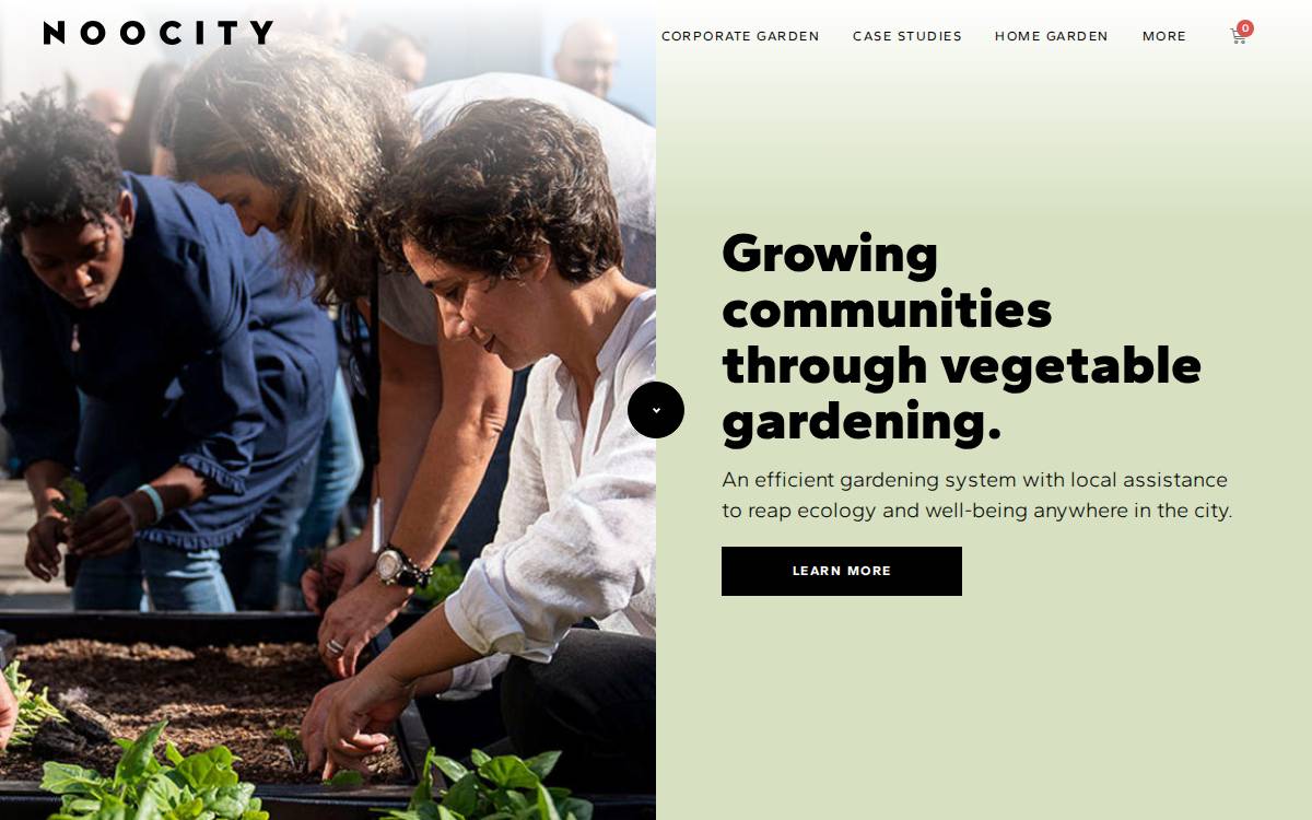 Noocity website preview