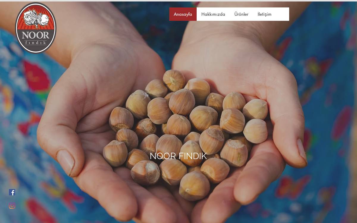 Noor Findik website preview