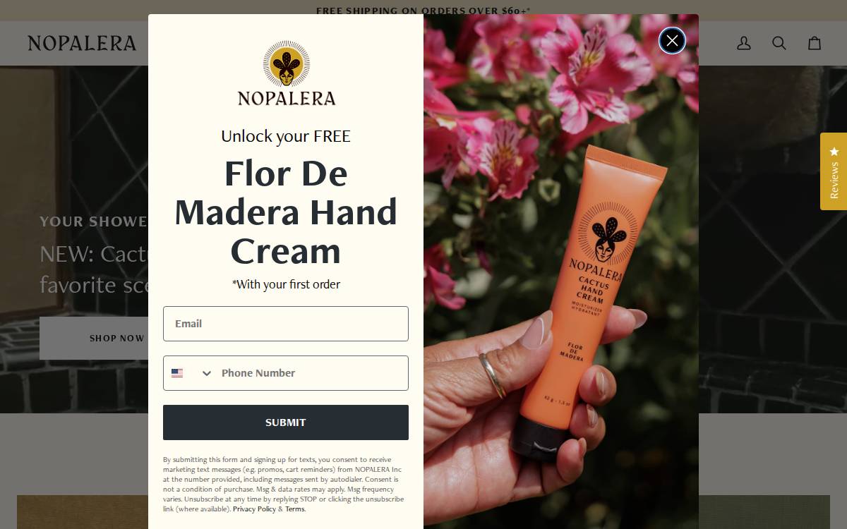 Nopalera website preview