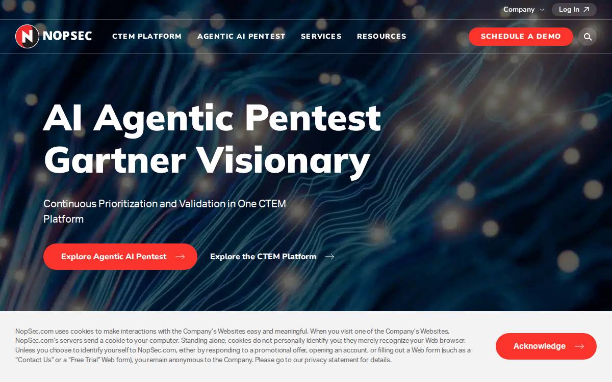 Nopsec website preview