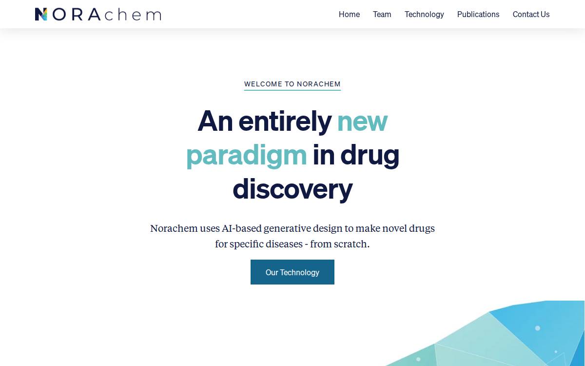 Norachem website preview