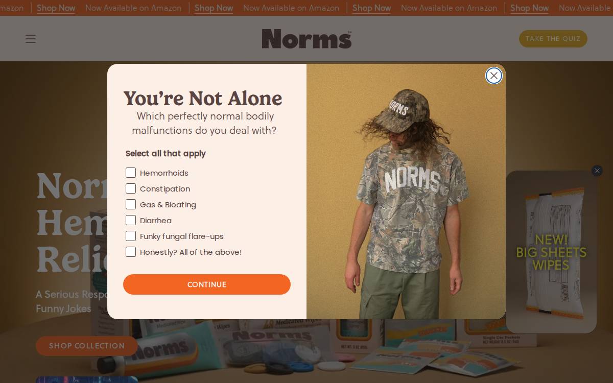 Norms website preview