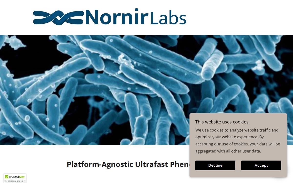 Nornir Labs website preview