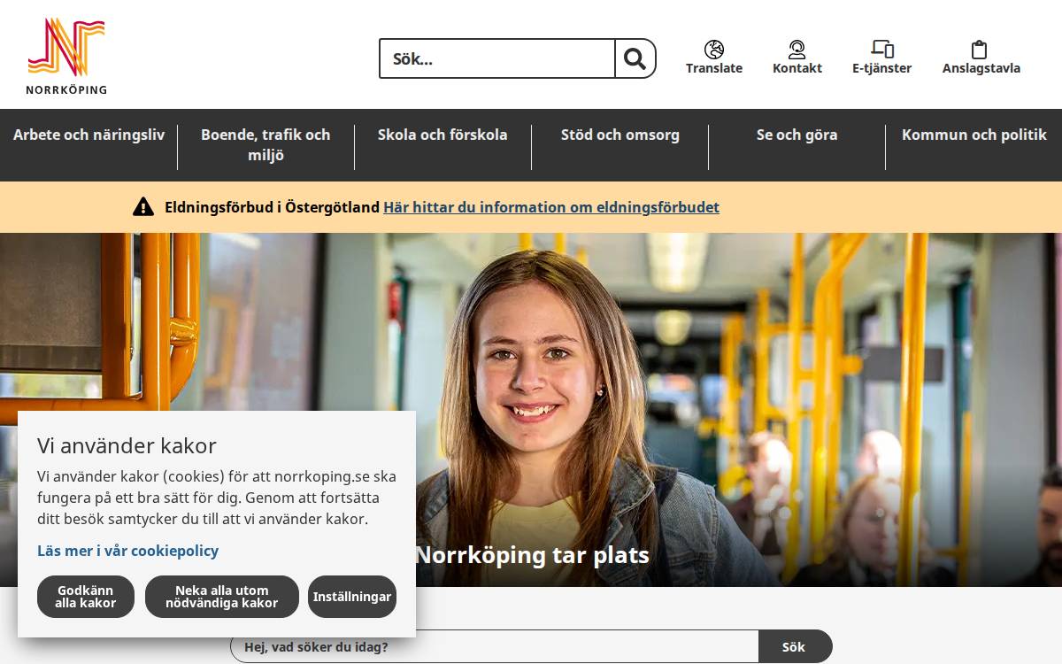 Norrkoping website preview