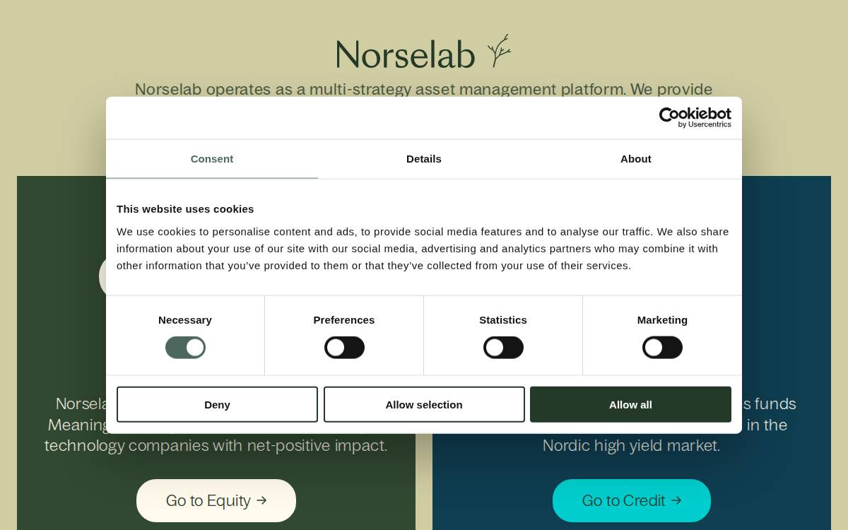 Norselab Visit Norselab website preview