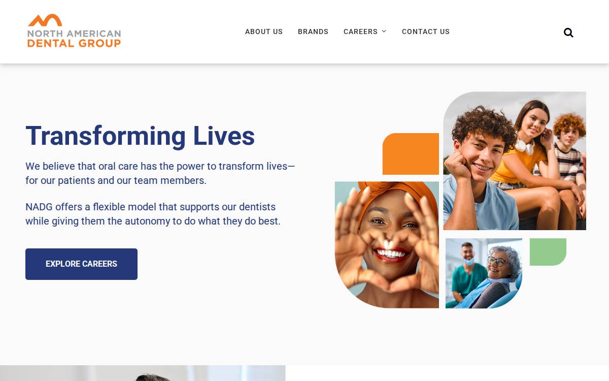 North American Dental Group website preview