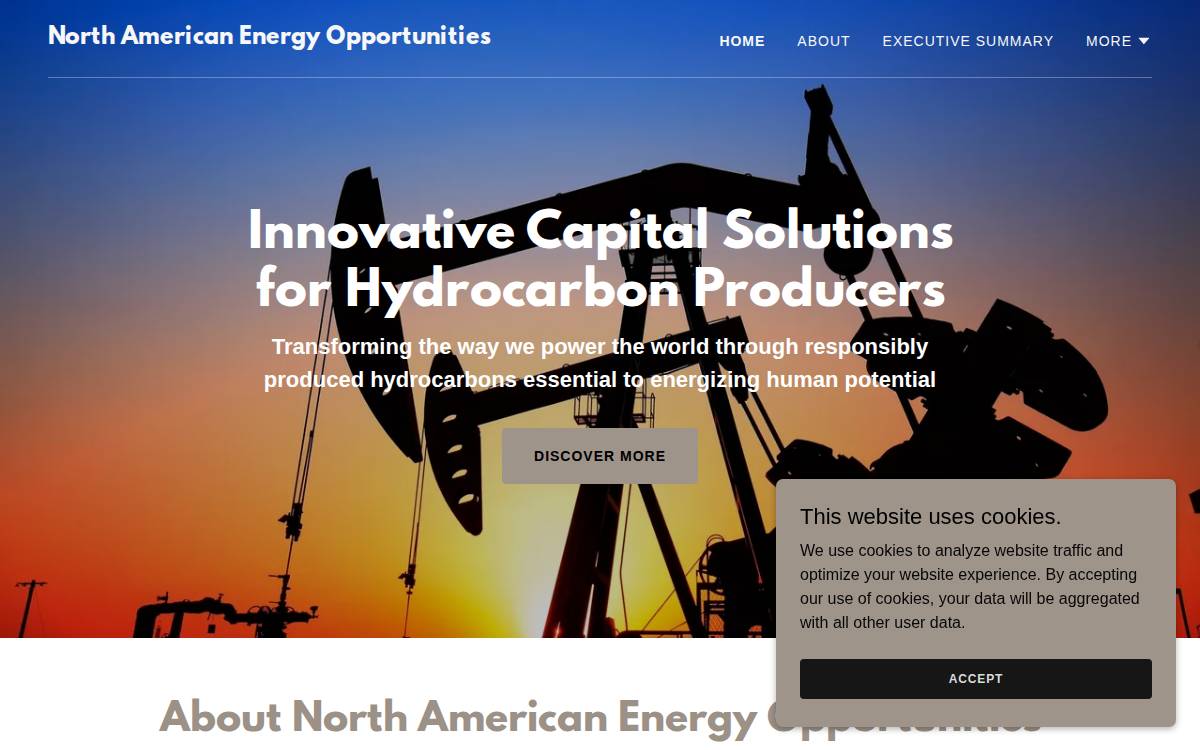 North American Energy Opportunities website preview