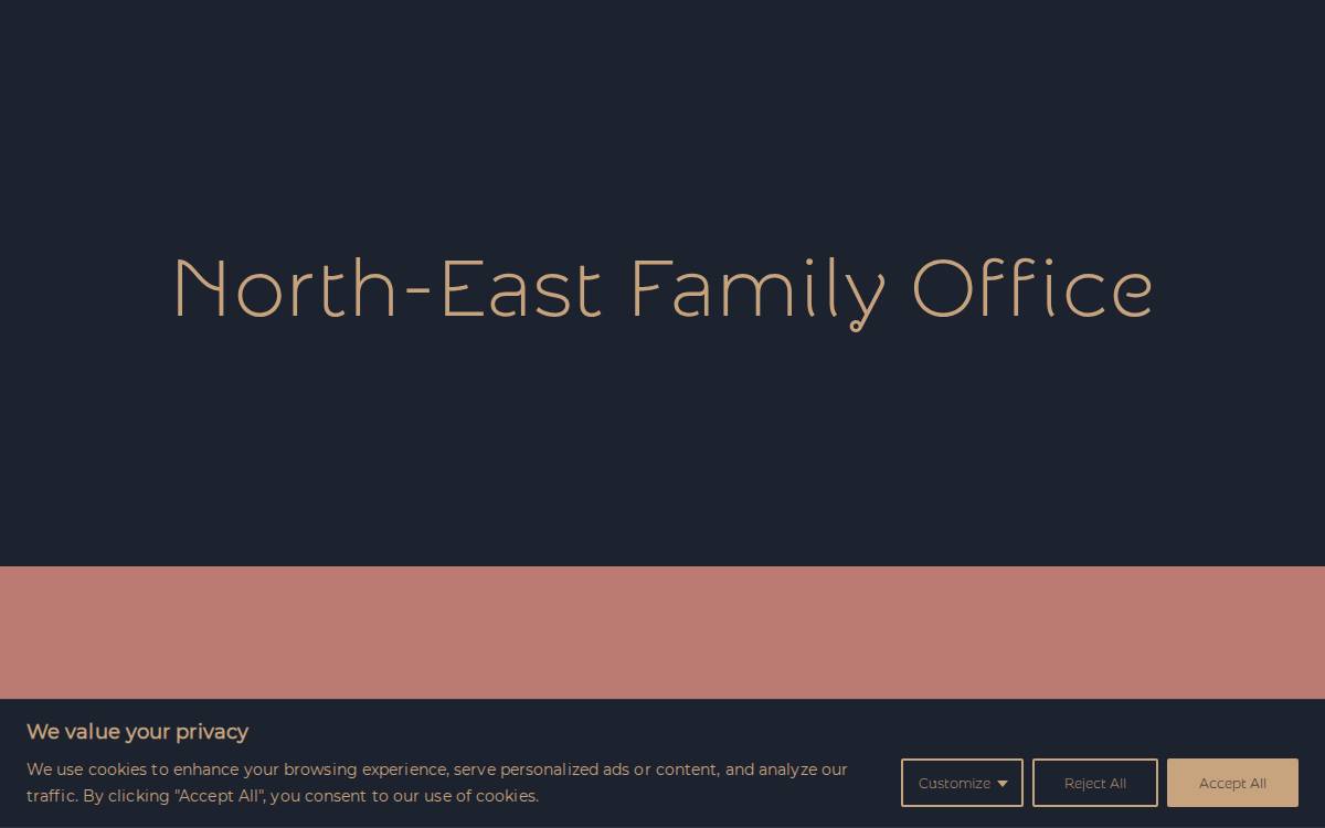 North East Group website preview