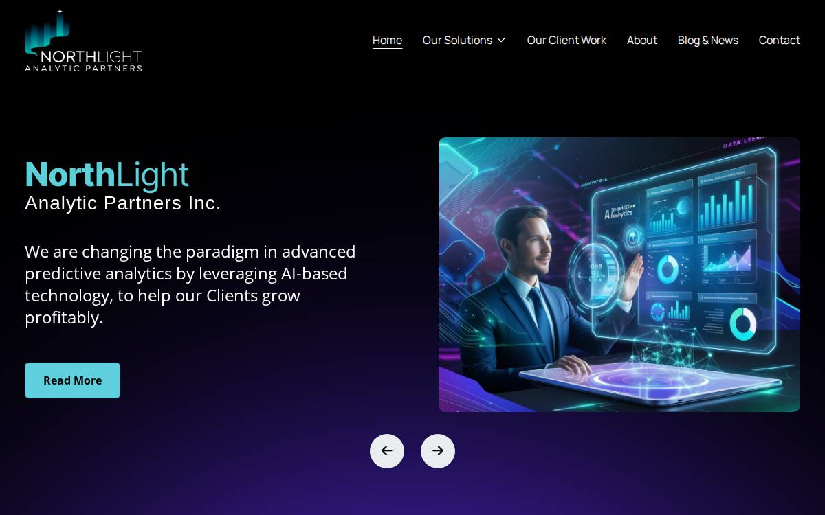 NorthLight Analytic Partners website preview