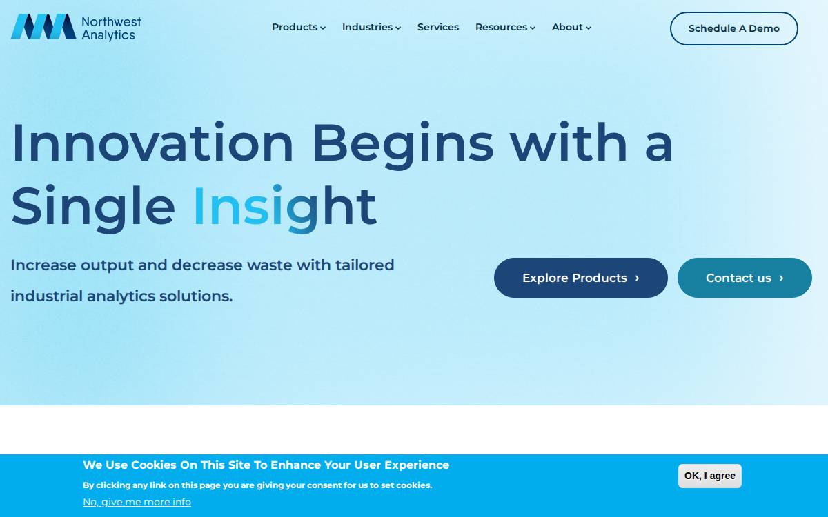 Northwest Analytics website preview