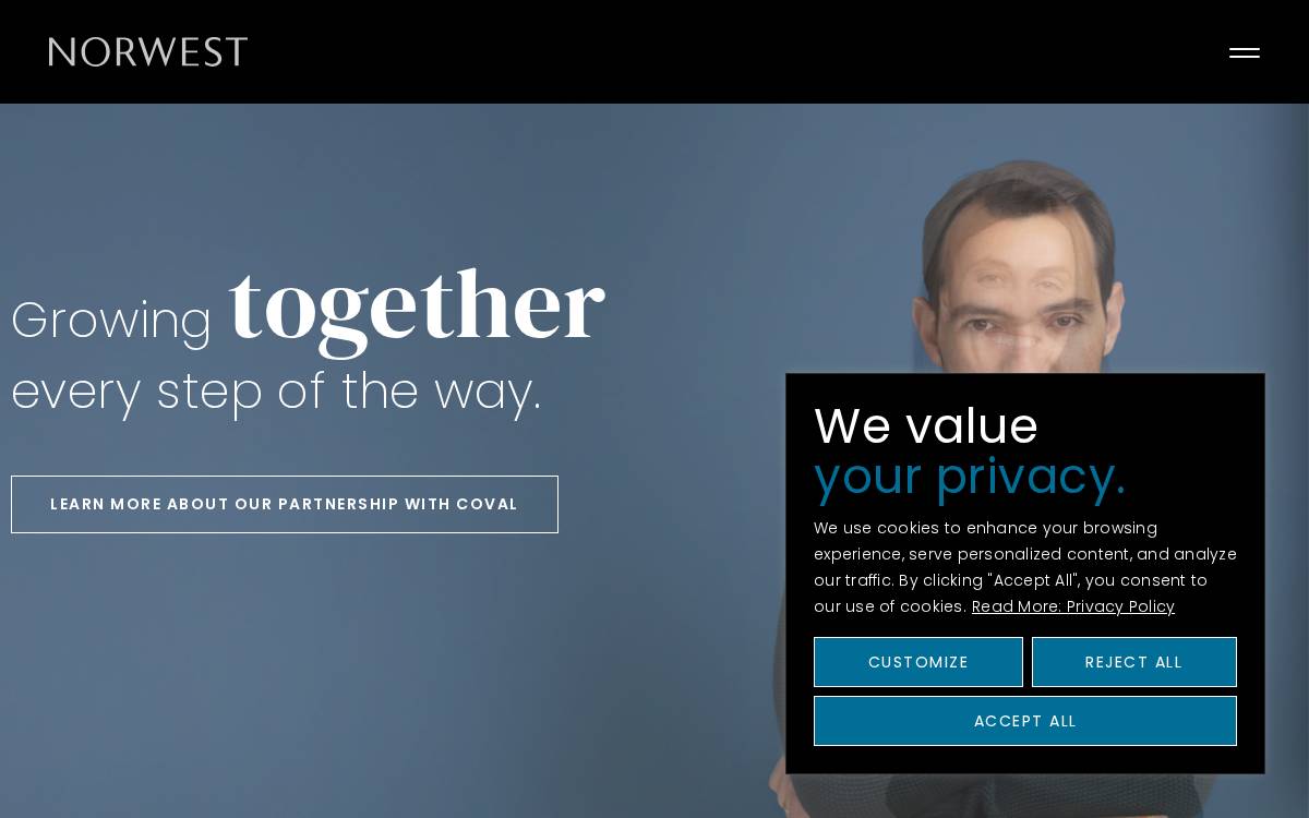 Norwest website preview