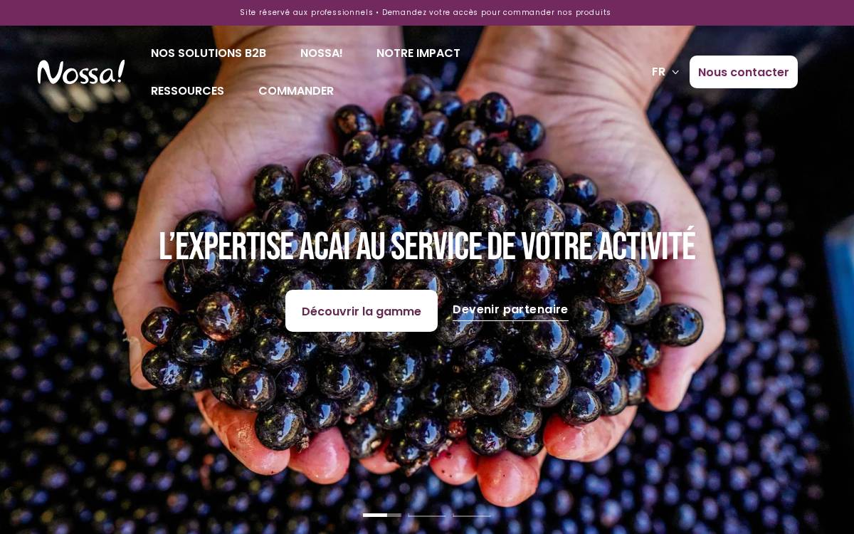 Nossa Acai website preview