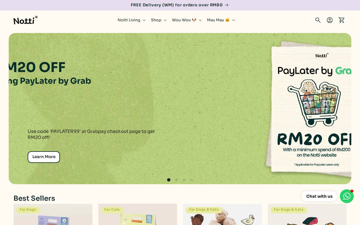 Notti website preview