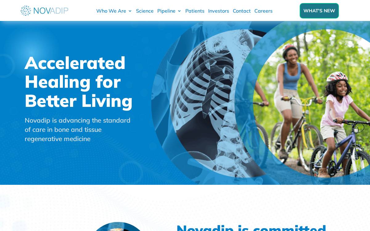 Novadip website preview