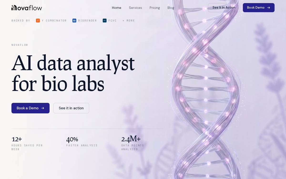 Novaflow website preview