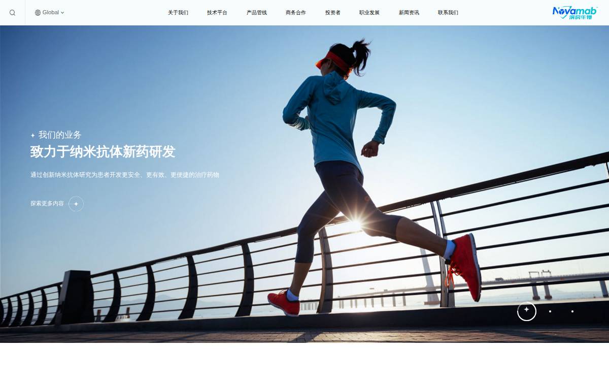 Novamab website preview