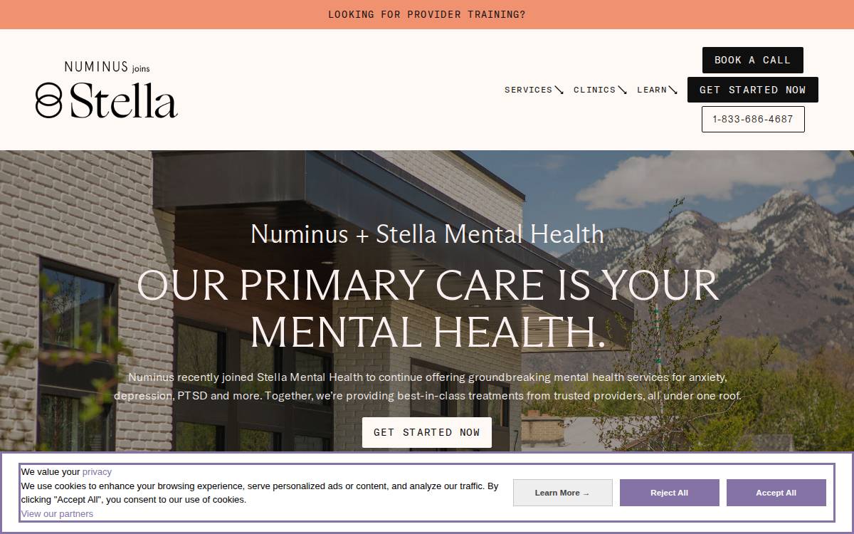 novamind website preview