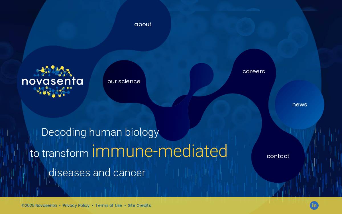Novasenta website preview