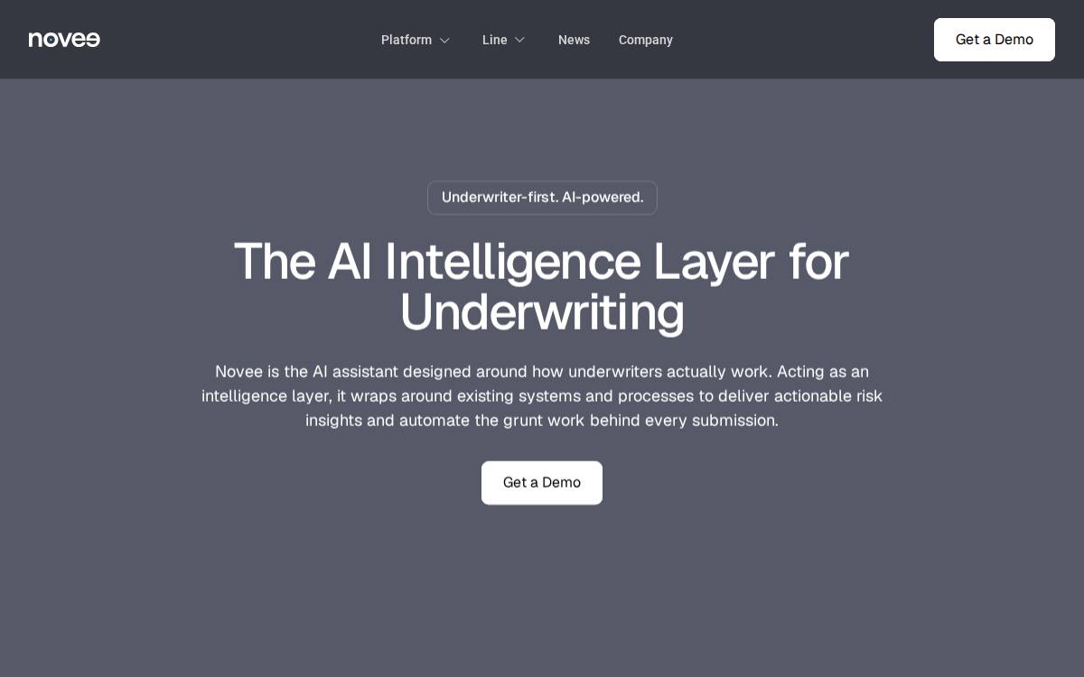 Novee website preview