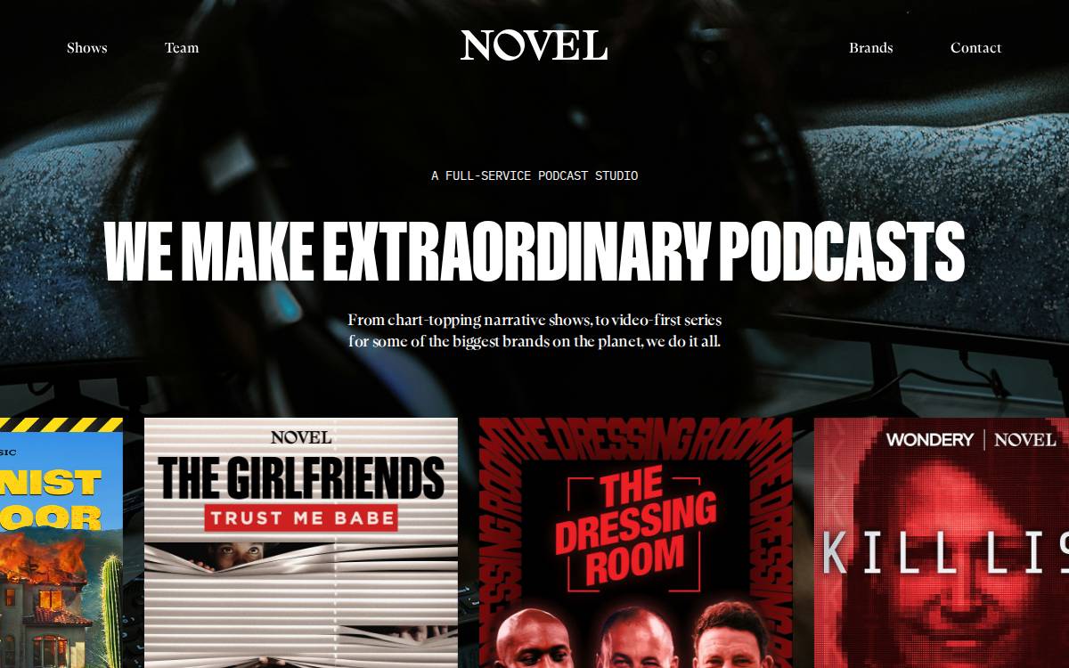Novel website preview