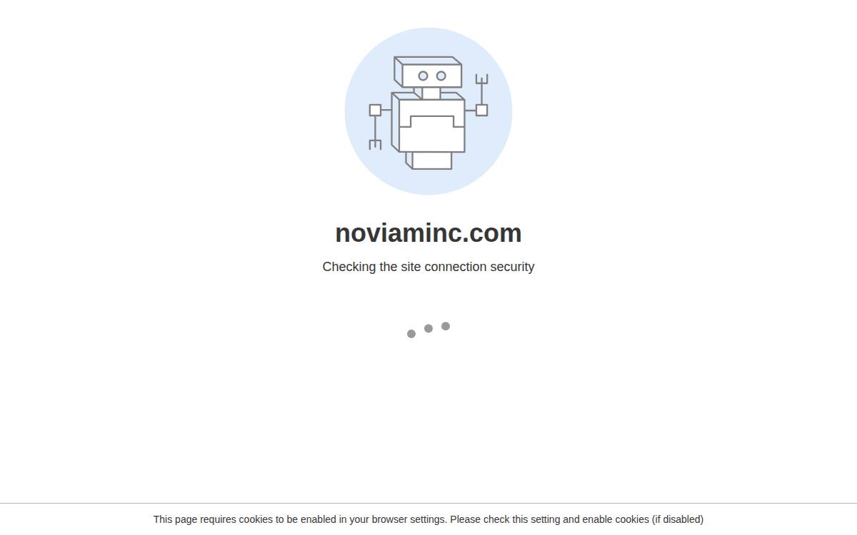 Noviam website preview