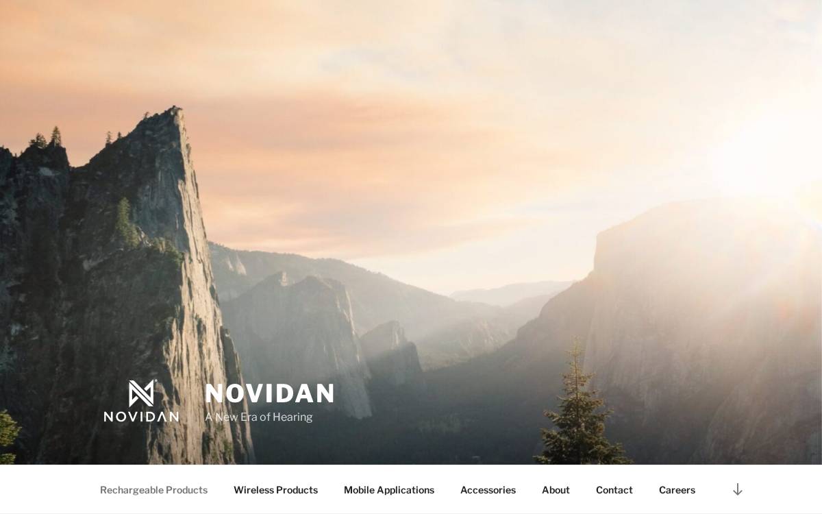 Novidan website preview